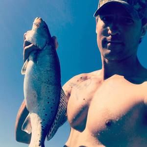 Meet your Posher, Andy